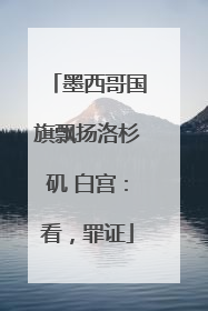 墨西哥国旗飘扬洛杉矶 白宫：看，罪证