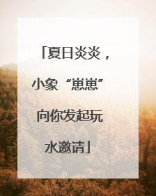 夏日炎炎，小象“崽崽” 向你发起玩水邀请