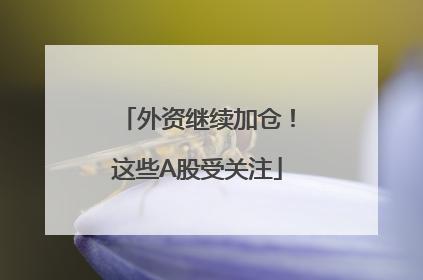 外资继续加仓！这些A股受关注