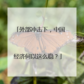 外部冲击下，中国经济何以这么稳？