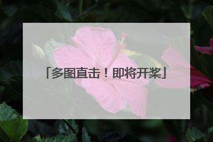 多图直击！即将开桨