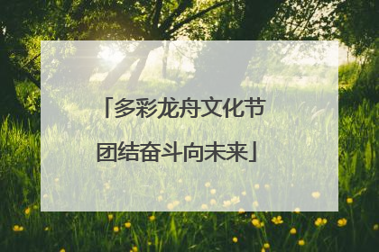 多彩龙舟文化节 团结奋斗向未来