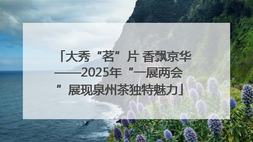 大秀“茗”片 香飘京华——2025年“一展两会”展现泉州茶独特魅力