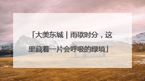 大美东城｜雨歇时分，这里藏着一片会呼吸的绿境