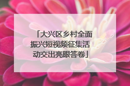 大兴区乡村全面振兴短视频征集活动交出亮眼答卷