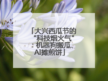 大兴西瓜节的“科技烟火气”：机器狗搬瓜、AI摊煎饼