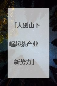 大别山下崛起茶产业新势力