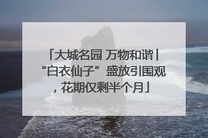 大城名园 万物和谐│“白衣仙子”盛放引围观，花期仅剩半个月