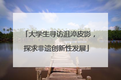 大学生寻访沮漳皮影，探求非遗创新性发展