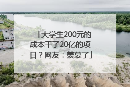 大学生200元的成本干了20亿的项目？网友：羡慕了