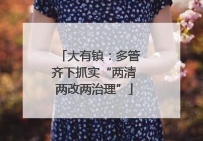 大有镇：多管齐下抓实“两清两改两治理”