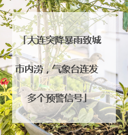 大连突降暴雨致城市内涝，气象台连发多个预警信号