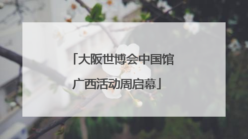大阪世博会中国馆广西活动周启幕
