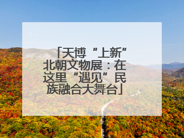 天博“上新”北朝文物展：在这里“遇见”民族融合大舞台