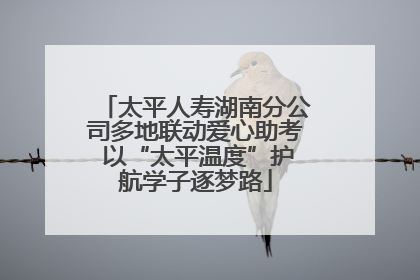 太平人寿湖南分公司多地联动爱心助考 以“太平温度”护航学子逐梦路