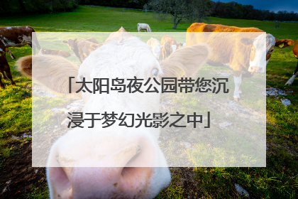 太阳岛夜公园带您沉浸于梦幻光影之中