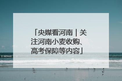 央媒看河南|关注河南小麦收购、高考保障等内容