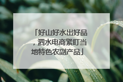 好山好水出好品，泗水电商紧盯当地特色农副产品