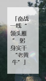 奋战一线“领头雁” 躬身实干“老黄牛”