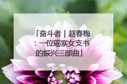奋斗者｜赵春梅：一位瑶寨女支书的振兴三部曲