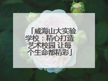 威海山大实验学校：精心打造艺术校园 让每个生命都精彩