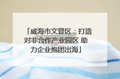 威海市文登区：打造对非合作产业园区 助力企业抱团出海