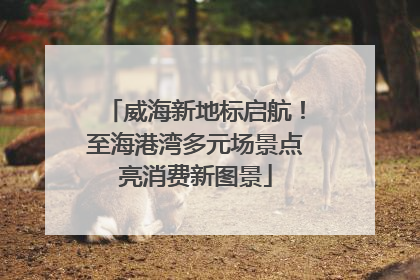 威海新地标启航！至海港湾多元场景点亮消费新图景