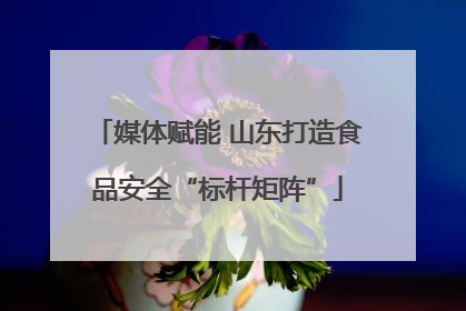 媒体赋能 山东打造食品安全“标杆矩阵”