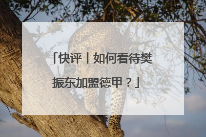 快评丨如何看待樊振东加盟德甲？
