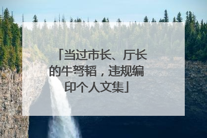 当过市长、厅长的牛弩韬，违规编印个人文集