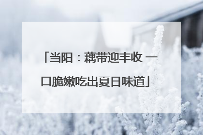 当阳：藕带迎丰收 一口脆嫩吃出夏日味道