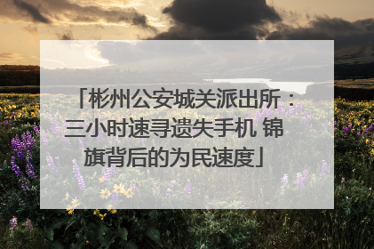 彬州公安城关派出所：三小时速寻遗失手机 锦旗背后的为民速度
