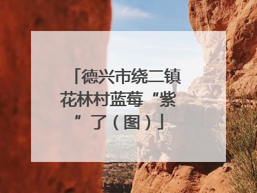 德兴市绕二镇花林村蓝莓“紫”了（图）