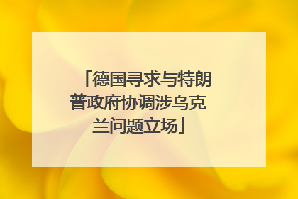 德国寻求与特朗普政府协调涉乌克兰问题立场