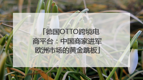 德国OTTO跨境电商平台：中国商家进军欧洲市场的黄金跳板