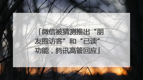 微信被猜测推出“朋友圈访客”和“已读”功能，腾讯高管回应
