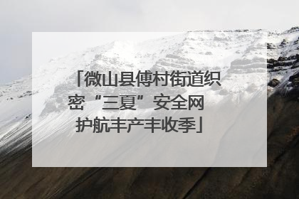 微山县傅村街道织密“三夏”安全网 护航丰产丰收季