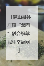 微山县韩庄镇“双圈”融合织就民生幸福网