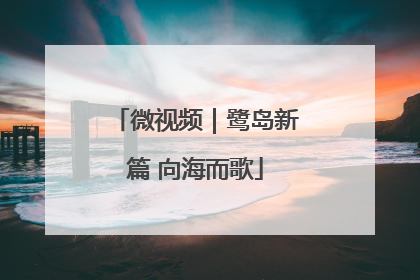 微视频｜鹭岛新篇 向海而歌