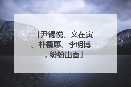 尹锡悦、文在寅、朴槿惠、李明博，纷纷出面