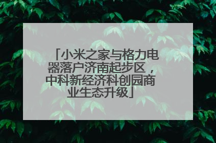 小米之家与格力电器落户济南起步区，中科新经济科创园商业生态升级