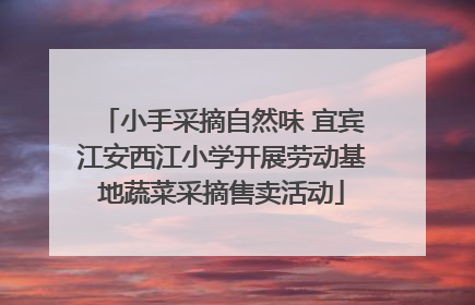 小手采摘自然味 宜宾江安西江小学开展劳动基地蔬菜采摘售卖活动