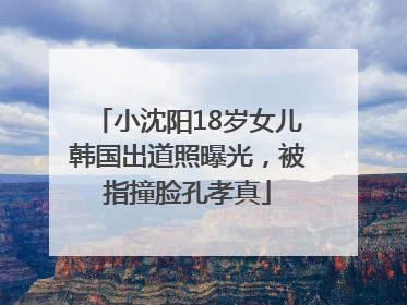 小沈阳18岁女儿韩国出道照曝光，被指撞脸孔孝真