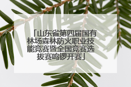 山东省第四届国有林场森林防火职业技能竞赛暨全国竞赛选拔赛鸣锣开赛