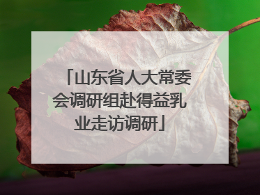 山东省人大常委会调研组赴得益乳业走访调研