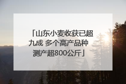 山东小麦收获已超九成 多个高产品种测产超800公斤