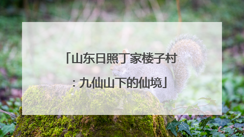 山东日照丁家楼子村：九仙山下的仙境