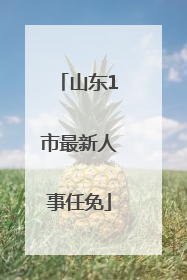 山东1市最新人事任免