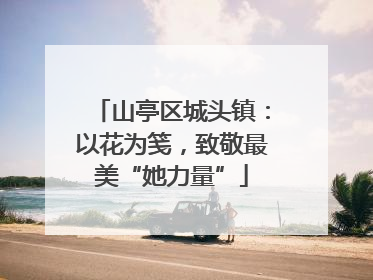 山亭区城头镇：以花为笺，致敬最美“她力量”