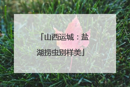 山西运城：盐湖捞虫别样美
